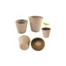 Set Ghiveci din Turba (24 buc) - 8x8 cm